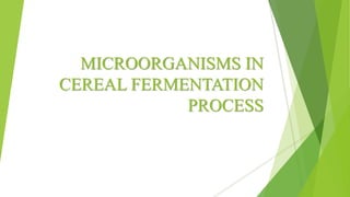 MICROORGANISMS IN
CEREAL FERMENTATION
PROCESS
 