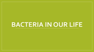 BACTERIA IN OUR LIFE
 