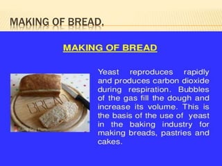 MAKING OF BREAD.
 