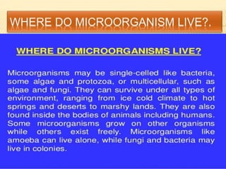 Microorganisms ppt -_ppt_1