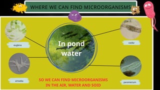 the wonderful word of microorganism.pptx
