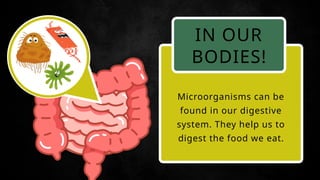 the wonderful word of microorganism.pptx