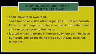 the wonderful word of microorganism.pptx