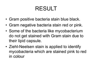 RESULT
• Gram positive bacteria stain blue black.
• Gram negative bacteria stain red or pink.
• Some of the bacteria like mycobacterium
do not get stained with Gram stain due to
their lipid capsule.
• Ziehl-Neelsen stain is applied to identify
mycobacteria which are stained pink to red
in colour
 