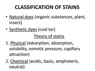 CLASSIFICATION OF STAINS
• Natural dyes (organic substances, plant,
insect)
• Synthetic dyes (coal tar)
Theory of stains
1. Physical (adsorption, absorption,
solubility, osmotic pressure, capillary
attraction)
2. Chemical (acidic, basic, amphoteric,
neutral)
 
