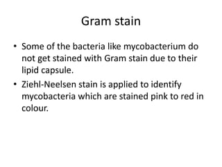 Gram stain
• Some of the bacteria like mycobacterium do
not get stained with Gram stain due to their
lipid capsule.
• Ziehl-Neelsen stain is applied to identify
mycobacteria which are stained pink to red in
colour.
 
