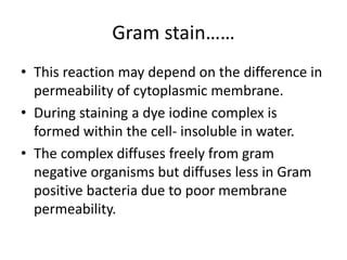 Gram stain……
• This reaction may depend on the difference in
permeability of cytoplasmic membrane.
• During staining a dye iodine complex is
formed within the cell- insoluble in water.
• The complex diffuses freely from gram
negative organisms but diffuses less in Gram
positive bacteria due to poor membrane
permeability.
 