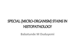SPECIAL (MICRO-ORGANISM) STAINS IN
HISTOPATHOLOGY
Babatunde M Duduyemi
 