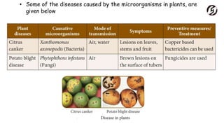 • Some of the diseases caused by the microorganisms in plants, are
given below
 