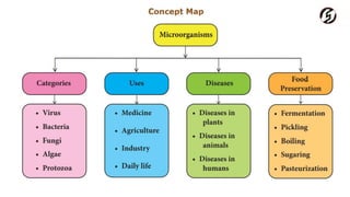 Microorganism : uses
