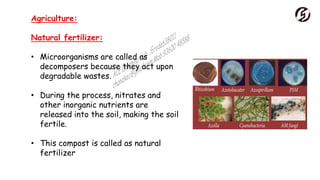Agriculture:
Natural fertilizer:
• Microorganisms are called as
decomposers because they act upon
degradable wastes.
• During the process, nitrates and
other inorganic nutrients are
released into the soil, making the soil
fertile.
• This compost is called as natural
fertilizer
 