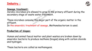Industry :
Sewage treatment:
Aerobic microbes are allowed to grow in the primary effluent during the
secondary stage of waste water treatment.
These microbes consume the major part of the organic matter in the
effluent.
In the anaerobic treatment of sewage, Methanobacterium is used.
Production of biogas:
Human and animal faecal matter and plant wastes are broken down by
anaerobic bacteria to produce methane (biogas) along with carbon dioxide
and hydrogen.
These bacteria are called as methanogens.
 