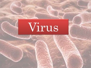 Virus
 