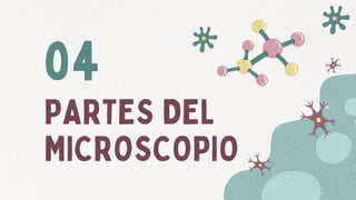 PARTES DEL
MICROSCOPIO
04
 