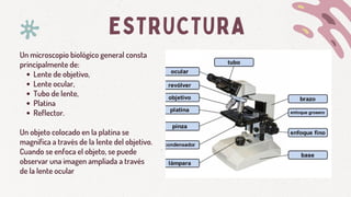 ESTRUCTURA
Lente de objetivo,
Lente ocular,
Tubo de lente,
Platina
Reflector.
Un microscopio biológico general consta
principalmente de:
Un objeto colocado en la platina se
magnifica a través de la lente del objetivo.
Cuando se enfoca el objeto, se puede
observar una imagen ampliada a través
de la lente ocular
 