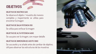 OBJETIVO DE RASTREO (4X)
OBJETIVOS
OBJETIVO DE BAJA POTENCIA (10)
OBJETIVO DE ALTA POTENCIA (40X)
OBJETIVO DE INMERSIÓN DE ACEITE (100)
Se observa el objeto / muestra de manera
completa y mayormente se utiliza para
encontrar la imagen
Se utiliza para enfocar la imagen
Se usa para ver la imagen, con mayor detalle
Se usa aceite y se añade antes de cambiar de objetivo,
útil para observar las estructuras de las muestras
 