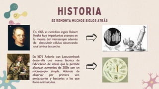 HISTORIA
SE REMONTA MUCHOS SIGLOS ATRÁS
En 1674 Antonie van Leeuwenhoek
desarrolla una nueva técnica de
fabricación de lentes que le permite
alcanzar aumentos de 200x con un
microscopio simple. Además de
observar por primera vez,
protozoarios y bacterias a los que
llamo animálculos.
En 1665, el científico inglés Robert
Hooke hizo importantes avances en
la mejora del microscopio además
de desscubrir células observando
una lámina de corcho.
 