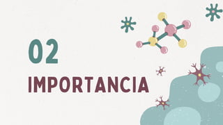 IMPORTANCIA
02
 