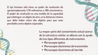 El ojo humano sólo tiene un poder de resolución de
aproximadamente 1/10 milímetros o 100 micrómetros.
El poder de resolución es una medida de la capacidad
para distinguir un objeto de otro, es la distancia mínima
que debe haber entre dos objetos para que sean
percibidos como objetos separados.
Microscopio óptico
Microscopio electrónico de transmisión
Microscopio electrónico de barrido
La mayor parte del conocimiento actual acerca
de la estructura celular se obtuvo con la ayuda
de tres tipos diferentes de instrumentos:
 