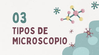 TIPOS DE
MICROSCOPIO
03
 