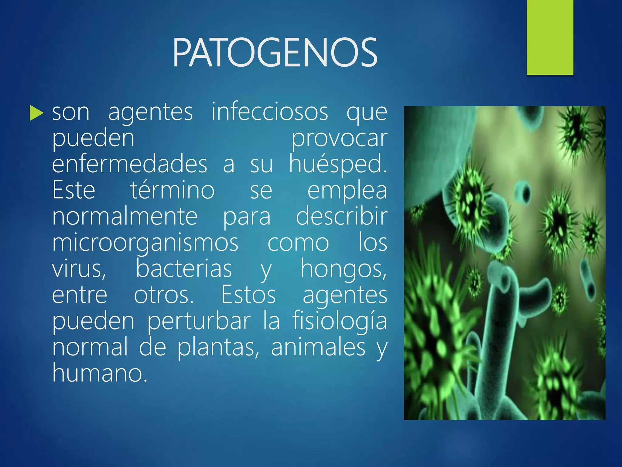 Patogenoa Microorganismos patogenos - Christian Bustillos | PPT