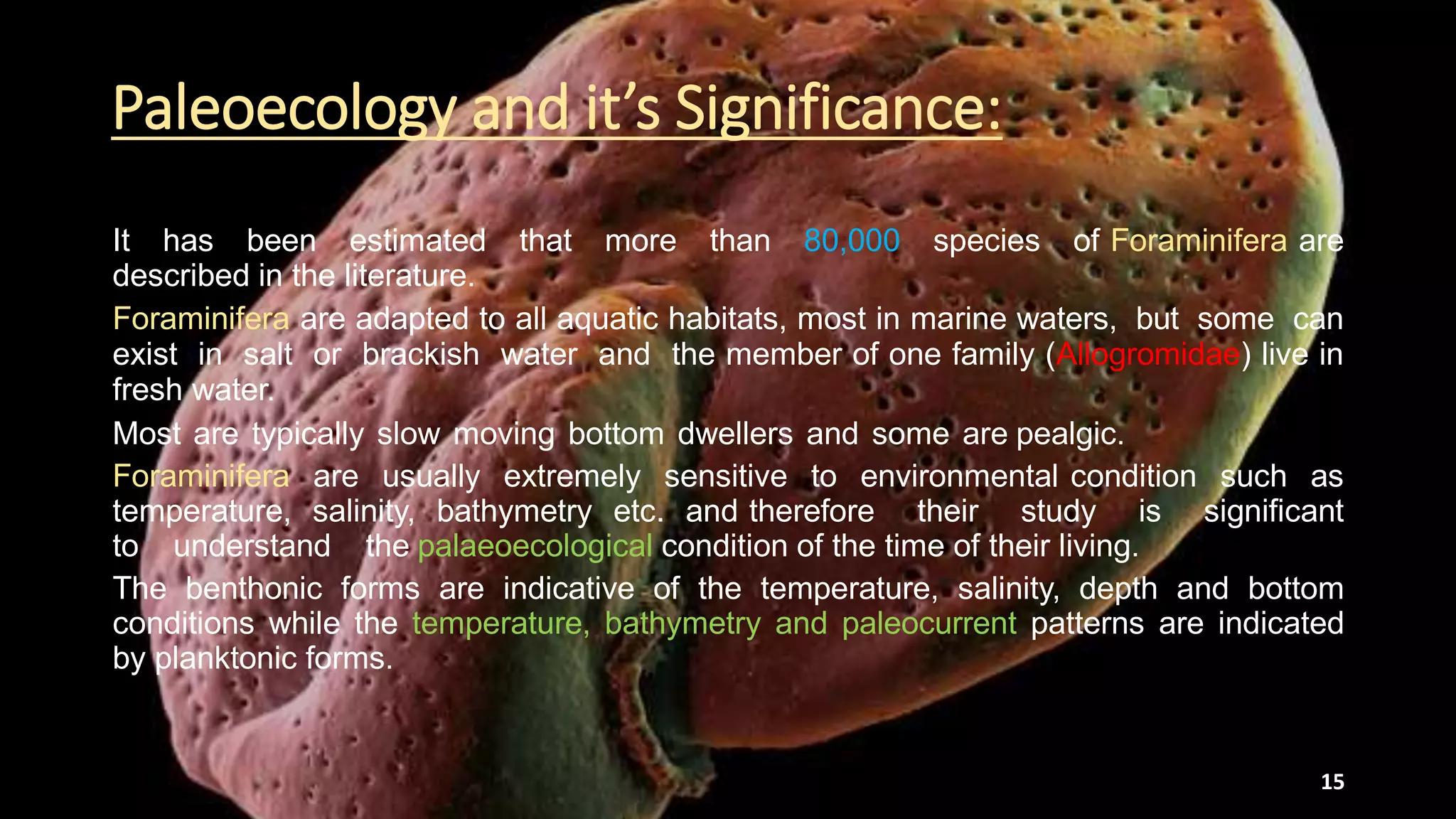 Paleoecology and it’s Significance:
It has been estimated that more than 80,000 species of Foraminifera are
described in the literature.
Foraminifera are adapted to all aquatic habitats, most in marine waters, but some can
exist in salt or brackish water and the member of one family (Allogromidae) live in
fresh water.
Most are typically slow moving bottom dwellers and some are pealgic.
Foraminifera are usually extremely sensitive to environmental condition such as
temperature, salinity, bathymetry etc. and therefore their study is significant
to understand the palaeoecological condition of the time of their living.
The benthonic forms are indicative of the temperature, salinity, depth and bottom
conditions while the temperature, bathymetry and paleocurrent patterns are indicated
by planktonic forms.
15
 