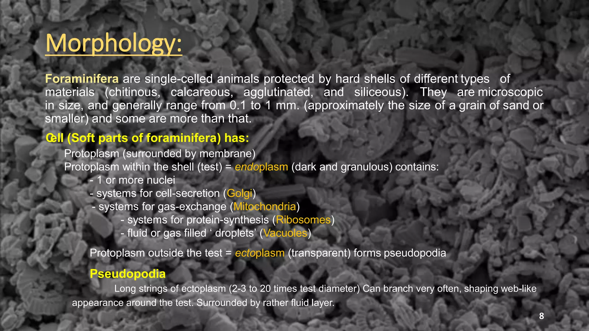 Morphology:
Foraminifera are single-celled animals protected by hard shells of different types of
materials (chitinous, calcareous, agglutinated, and siliceous). They are microscopic
in size, and generally range from 0.1 to 1 mm. (approximately the size of a grain of sand or
smaller) and some are more than that.
Cell (Soft parts of foraminifera) has:
Protoplasm (surrounded by membrane)
Protoplasm within the shell (test) = endoplasm (dark and granulous) contains:
- 1 or more nuclei
- systems for cell-secretion (Golgi)
- systems for gas-exchange (Mitochondria)
- systems for protein-synthesis (Ribosomes)
- fluid or gas filled ‘ droplets’ (Vacuoles)
Protoplasm outside the test = ectoplasm (transparent) forms pseudopodia
Pseudopodia
Long strings of ectoplasm (2-3 to 20 times test diameter) Can branch very often, shaping web-like
appearance around the test. Surrounded by rather fluid layer.
8
 