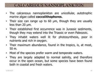 CALCAREOUS NANNOPLANKTON
• The calcareous nannoplankton are unicellular, autotrophic
marine algae called coccolithophores.
• Their size can range up to 60 μm, though they are usually
less than 20 μm.
• Their established first occurrence was in Jurassic sediments,
though they may extend into the Triassic or even Paleozoic.
• They inhabit waters well lit for photosynthesis, poor in
nutrients and rich in oxygen.
• Their maximum abundance, found in the tropics, is, at most,
50 m.
• Most of the species prefer warm and temperate waters.
• They are largely adapted to normal salinity, and therefore
occur in the open ocean, but some species have been found
both in coastal and fresh waters.
1/28/2023 10
 