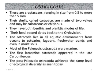 OSTRACODA
• These are crustaceans, ranging in size from 0.5 to more
than 5 mm.
• Their shells, called carapace, are made of two valves
and may be calcareous or chitinous.
• They have both benthic and planktic modes of life.
• Their fossil record dates back to the Ordovician.
• The ostracoda live in all aquatic environments from
oceans to estuaries, lagoons, freshwater ponds and
even in moist soils.
• Most of the Paleozoic ostracoda were marine.
• The first lacustrine ostracoda appeared in the late
Carboniferous.
• The post-Paleozoic ostracoda achieved the same level
of ecological diversity as seen today.
1/28/2023 11
 