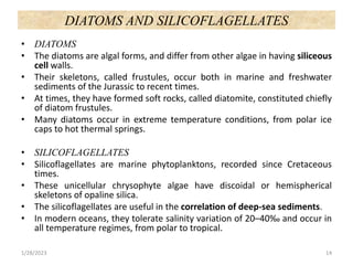DIATOMS AND SILICOFLAGELLATES
• DIATOMS
• The diatoms are algal forms, and differ from other algae in having siliceous
cell walls.
• Their skeletons, called frustules, occur both in marine and freshwater
sediments of the Jurassic to recent times.
• At times, they have formed soft rocks, called diatomite, constituted chiefly
of diatom frustules.
• Many diatoms occur in extreme temperature conditions, from polar ice
caps to hot thermal springs.
• SILICOFLAGELLATES
• Silicoflagellates are marine phytoplanktons, recorded since Cretaceous
times.
• These unicellular chrysophyte algae have discoidal or hemispherical
skeletons of opaline silica.
• The silicoflagellates are useful in the correlation of deep-sea sediments.
• In modern oceans, they tolerate salinity variation of 20–40‰ and occur in
all temperature regimes, from polar to tropical.
1/28/2023 14
 