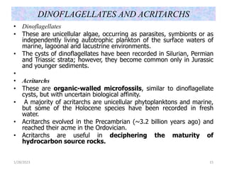 DINOFLAGELLATES AND ACRITARCHS
• Dinoflagellates
• These are unicellular algae, occurring as parasites, symbionts or as
independently living autotrophic plankton of the surface waters of
marine, lagoonal and lacustrine environments.
• The cysts of dinoflagellates have been recorded in Silurian, Permian
and Triassic strata; however, they become common only in Jurassic
and younger sediments.
•
• Acritarchs
• These are organic-walled microfossils, similar to dinoflagellate
cysts, but with uncertain biological affinity.
• A majority of acritarchs are unicellular phytoplanktons and marine,
but some of the Holocene species have been recorded in fresh
water.
• Acritarchs evolved in the Precambrian (~3.2 billion years ago) and
reached their acme in the Ordovician.
• Acritarchs are useful in deciphering the maturity of
hydrocarbon source rocks.
1/28/2023 15
 