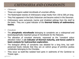 CHITINOZOA AND CONODONTS
• Chitinozoa
• These are organic-walled microfossils of uncertain affinity.
• The flaskshaped vesicles of chitinozoans range mostly from 150 to 300 μm long.
• They first appeared in the Early Ordovician and became extinct in the Devonian.
• Chitinozoans were exclusively marine and inhabited settings from the shelf to
the basin. They are a good indicator of the thermal history of sedimentary
basins.
• Conodonts
• The phosphatic microfossils belonging to conodonts are a widespread and
biostratigraphically important group of microfossils for the Paleozoic.
• The alteration of conodont elements, expressed as the “conodont colour
alteration index”, is an indicator of thermal maturity, and hence useful in
basin analysis for hydrocarbon exploration.
• The biological affinity of conodonts was debated for a long time, but well-
preserved fossils indicate that they are an extinct group of primitive jawless
vertebrates belonging to the Chordata.
• They occur as tooth-like isolated hard parts in sediments of the Cambrian to
Triassic ages .
•
1/28/2023 16
 