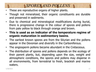 SPORES AND POLLENS
• These are reproductive organs of higher plants.
• Though not mineralized, their organic constituents are durable
and preserved in sediments.
• Due to chemical and mineralogical modifications during burial,
there is progressive change in the colour of spores and pollens
from pale yellow to black through orange and brown.
• This is used as an indicator of the temperature regime of
organic maturation in sedimentary basins.
• The earliest known spores are from the Silurian and the pollens
appear in the Devonian and diversify in the Carboniferous.
• The angiosperm pollens became abundant in the Cretaceous.
• The distribution of spores and pollens depends on the ecology of
their parent plants, but, depending upon the size, weight and
atmospheric conditions, the spores and pollens may disperse in
all environments, from terrestrial to fresh, brackish and marine
waters.
1/28/2023 17
 