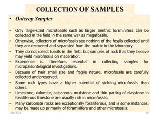 • Outcrop Samples
• Only large-sized microfossils such as larger benthic foraminifera can be
collected in the field in the same way as megafossils.
• Otherwise, collectors of microfossils see nothing of the fossils collected until
they are recovered and separated from the matrix in the laboratory.
• They do not collect fossils in the field, but samples of rock that they believe
may yield microfossils on maceration.
• Experience is, therefore, essential in collecting samples for
micropaleontological investigations.
• Because of their small size and fragile nature, microfossils are carefully
collected and preserved.
• Some rock types have a higher potential of yielding microfossils than
others.
• Limestone, dolomite, calcareous mudstone and thin parting of claystone in
fossiliferous limestone are usually rich in microfossils.
• Many carbonate rocks are exceptionally fossiliferous, and in some instances,
may be made up primarily of foraminifera and other microfossils.
1/28/2023 18
COLLECTION OF SAMPLES
 