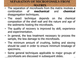 SEPARATION OF MICROFOSSILS FROM
MATRIX
• The separation of microfossils from the matrix involves a
combination of mechanical and chemical
disaggregation techniques.
• The exact technique depends on the chemical
composition of the shell wall and the nature and age of
the sediments hosting the microfossils.
• The quality of recovery is improved by skill, experience
and experimentation.
• In general, the less treatment necessary to process the
sample, the less damage to the microfossils.
• The minimum amount of crushing, boiling and sieving
should be used in order to ensure minimum breakage of
specimens.
• Some general techniques applicable to major groups of
microfossils are discussed in subsequent slides.
1/28/2023 24
 