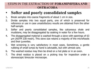 STEPS IN THE EXTRACTION OF FORAMINIFERAAND
OSTRACODA
• Softer and poorly consolidated samples
1. Break samples into coarse fragments of about 1 cm in size.
2. Divide samples into two equal parts, one of which is preserved for
reference or use in case unsatisfactory results are obtained from the other
half-sample.
3. Softer and poorly consolidated samples, like calcareous shale and
mudstone, may be disaggregated by soaking in water for a few hours.
4. The disaggregated material is washed through a sieve with openings of 63
μm (ASTM 230 mesh). This sieve size retains a majority of the microfossils
and their juveniles.
5. Wet screening is very satisfactory in most cases. Sometimes, a gentle
rubbing of small lumps by hand is advisable, but with utmost care.
6. The washed residue may then be dried on a hot plate or in an oven.
7. The dried residue is placed on a picking tray for inspection under a
stereoscopic binocular microscope.
1/28/2023 26
 