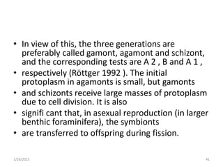 • In view of this, the three generations are
preferably called gamont, agamont and schizont,
and the corresponding tests are A 2 , B and A 1 ,
• respectively (Röttger 1992 ). The initial
protoplasm in agamonts is small, but gamonts
• and schizonts receive large masses of protoplasm
due to cell division. It is also
• signifi cant that, in asexual reproduction (in larger
benthic foraminifera), the symbionts
• are transferred to offspring during fission.
1/28/2023 41
 
