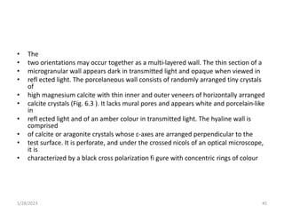 • The
• two orientations may occur together as a multi-layered wall. The thin section of a
• microgranular wall appears dark in transmitted light and opaque when viewed in
• refl ected light. The porcelaneous wall consists of randomly arranged tiny crystals
of
• high magnesium calcite with thin inner and outer veneers of horizontally arranged
• calcite crystals (Fig. 6.3 ). It lacks mural pores and appears white and porcelain-like
in
• refl ected light and of an amber colour in transmitted light. The hyaline wall is
comprised
• of calcite or aragonite crystals whose c-axes are arranged perpendicular to the
• test surface. It is perforate, and under the crossed nicols of an optical microscope,
it is
• characterized by a black cross polarization fi gure with concentric rings of colour
1/28/2023 45
 
