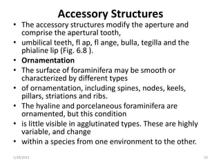 Accessory Structures
• The accessory structures modify the aperture and
comprise the apertural tooth,
• umbilical teeth, fl ap, fl ange, bulla, tegilla and the
phialine lip (Fig. 6.8 ).
• Ornamentation
• The surface of foraminifera may be smooth or
characterized by different types
• of ornamentation, including spines, nodes, keels,
pillars, striations and ribs.
• The hyaline and porcelaneous foraminifera are
ornamented, but this condition
• is little visible in agglutinated types. These are highly
variable, and change
• within a species from one environment to the other.
1/28/2023 53
 