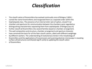 Classification
• The classifi cation of foraminifera has evolved continually since d’Orbigny ( 1826 )
• coined the name Foraminiferes and recognized them as a separate order within the
• Cephalopoda class. The presence of an internal shell, lack of siphon, closed fi nal
• chamber and apertures for communication between the chambers were regarded as
• distinguishing characteristics separating them from cephalopoda. D’Orbigny (op cit)
• further classifi ed foraminifera into several families based on chamber arrangement.
• The wall composition and structure, chamber arrangement and aperture character
• have remained the basis for all the later classifi cations, albeit with different weightage
• by different workers. The understanding of evolutionary trends in the morphology of
• foraminifera and the applications of transmission and scanning electron microscopy in revealing
surface ultrastructures contributed signifi cantly to updating the classifi cation
• of foraminifera
1/28/2023 54
 