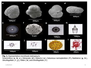 1/28/2023 8
Fig. 1. Representative microfossils belonging to
Foraminifera ( a , b , c ), Ostracoda ( d ), Diatoms ( e ), Calcareous nannoplankton ( f ), Radiolaria ( g , h ),
Silicoflagellate ( i , j ), Pollen ( k ) and Dinoflagellate ( l )
 