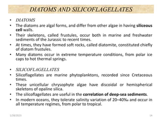 DIATOMS AND SILICOFLAGELLATES
• DIATOMS
• The diatoms are algal forms, and differ from other algae in having siliceous
cel...