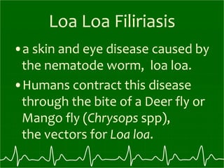 Loa Loa Filiriasis
•a skin and eye disease caused by
the nematode worm, loa loa.
•Humans contract this disease
through the bite of a Deer fly or
Mango fly (Chrysops spp),
the vectors for Loa loa.
 