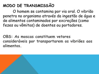 MODO DE TRANSMISSÃO
O homem se contamina por via oral. O vibrião
penetra no organismo através da ingestão de água e
de alimentos contaminados por excreções (como
fezes ou vômitos) de doentes ou portadores.
OBS: As moscas constituem vetores
consideráveis por transportarem os vibriões aos
alimentos.
 