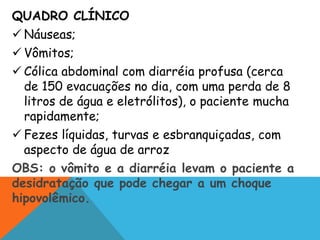 QUADRO CLÍNICO
 Náuseas;
 Vômitos;
 Cólica abdominal com diarréia profusa (cerca
de 150 evacuações no dia, com uma perda de 8
litros de água e eletrólitos), o paciente mucha
rapidamente;
 Fezes líquidas, turvas e esbranquiçadas, com
aspecto de água de arroz
OBS: o vômito e a diarréia levam o paciente a
desidratação que pode chegar a um choque
hipovolêmico.
 
