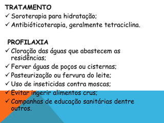 TRATAMENTO
 Soroterapia para hidratação;
 Antibióticoterapia, geralmente tetraciclina.
PROFILAXIA
 Cloração das águas que abastecem as
residências;
 Ferver águas de poços ou cisternas;
 Pasteurização ou fervura do leite;
 Uso de inseticidas contra moscas;
 Evitar ingerir alimentos crus;
 Campanhas de educação sanitárias dentre
outros.
 