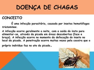 DOENÇA DE CHAGAS
CONCEITO
É uma infecção parasitária, causada por insetos hematófagos
triatominae.
A infecção ocorre geralmente a noite, com a saida do insto para
alimentar-se, através da picada em áreas descobertas (face e
braço). A infecção ocorre no momento da defecação do inseto no
local da picada. A penetração ocorre muitas vezes pela coceira que o
próprio indivíduo faz no ato da picada.
 