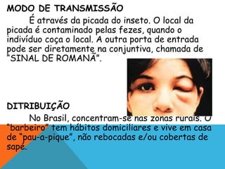 MODO DE TRANSMISSÃO
É através da picada do inseto. O local da
picada é contaminado pelas fezes, quando o
indivíduo coça o local. A outra porta de entrada
pode ser diretamente na conjuntiva, chamada de
“SINAL DE ROMANÃ”.
DITRIBUIÇÃO
No Brasil, concentram-se nas zonas rurais. O
“barbeiro” tem hábitos domiciliares e vive em casa
de “pau-a-pique”, não rebocadas e/ou cobertas de
sapé.
 