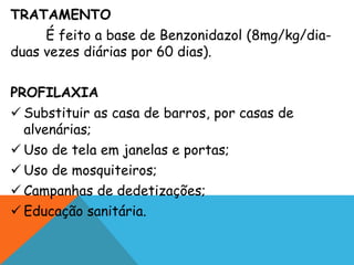 TRATAMENTO
É feito a base de Benzonidazol (8mg/kg/dia-
duas vezes diárias por 60 dias).
PROFILAXIA
 Substituir as casa de barros, por casas de
alvenárias;
 Uso de tela em janelas e portas;
 Uso de mosquiteiros;
 Campanhas de dedetizações;
 Educação sanitária.
 