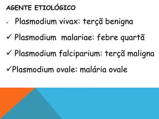AGENTE ETIOLÓGICO
 Plasmodium vivax: terçã benigna
 Plasmodium malariae: febre quartã
 Plasmodium falciparium: terçã maligna
Plasmodium ovale: malária ovale
 